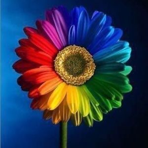 Meet your Posher, Leeann